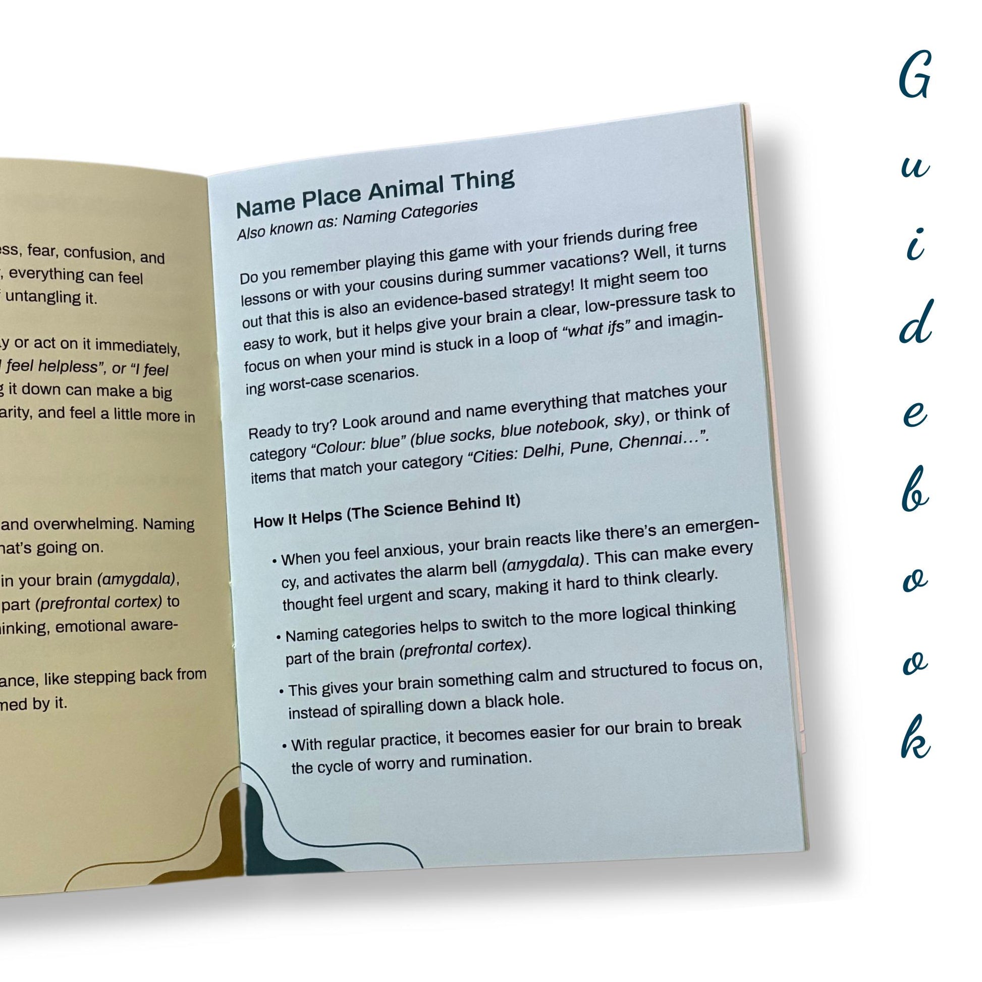 Open Guiding Koi Calm Deck guidebook showing the “Name Place Animal Thing” grounding technique - an evidence-based activity to calm racing thoughts and reduce anxiety.