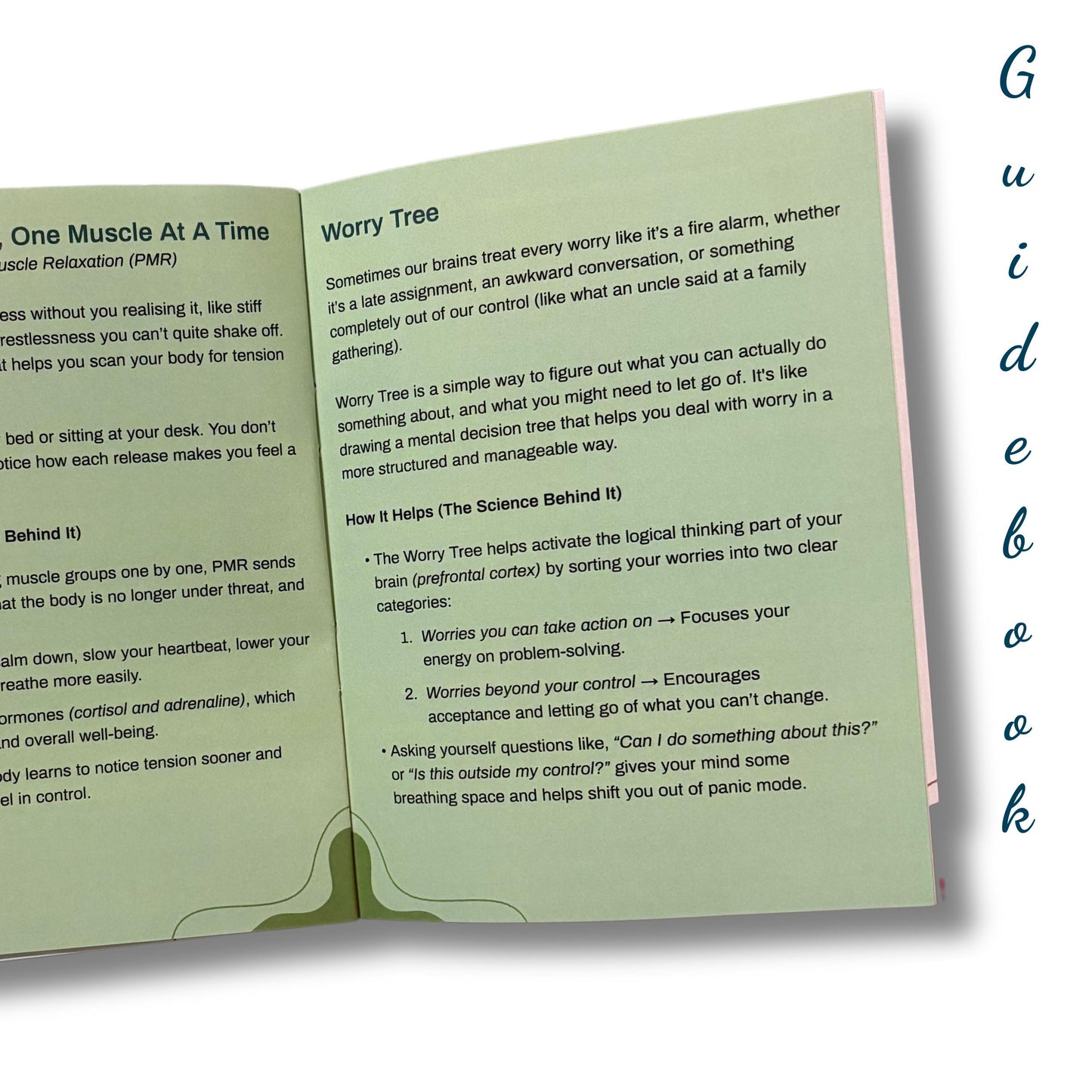 Open Guiding Koi Calm Deck guidebook showing pages on Progressive Muscle Relaxation and the Worry Tree, evidence-based strategies to reduce anxiety and regain calm.