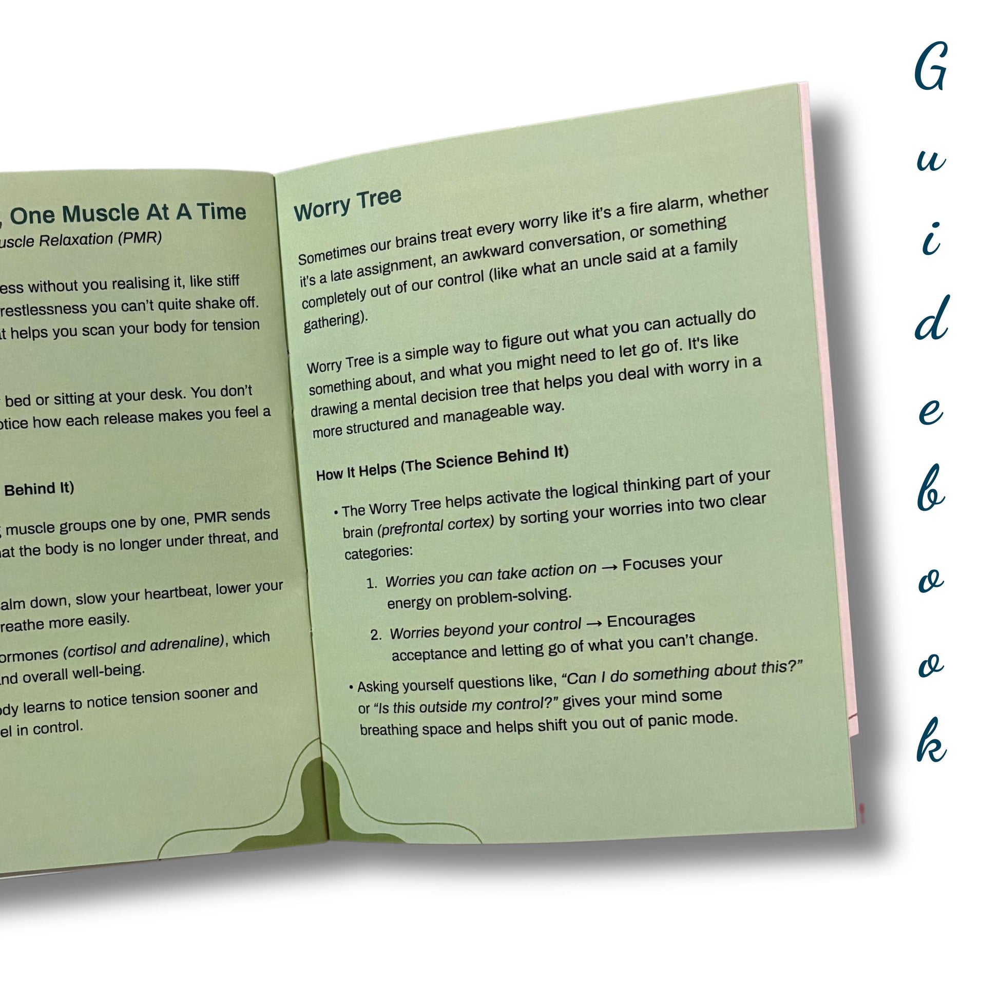 Open Guiding Koi Calm Deck guidebook showing pages on Progressive Muscle Relaxation and the Worry Tree, evidence-based strategies to reduce anxiety and regain calm.